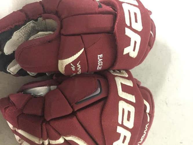 BC EAGLES GLOVES 14"