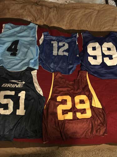 Lax Pinney Bundle