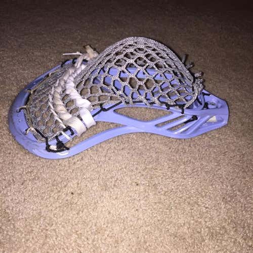 HS Warrior Cobra