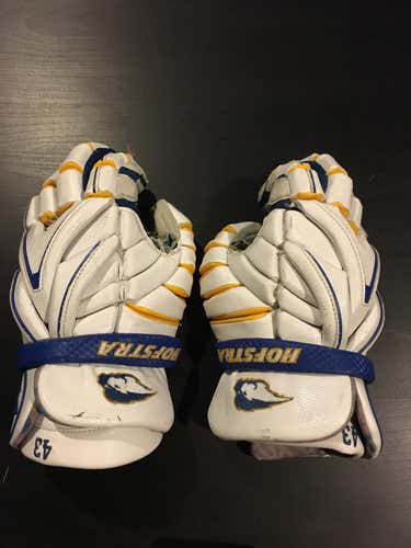 Custom Hofstra Evo Gloves