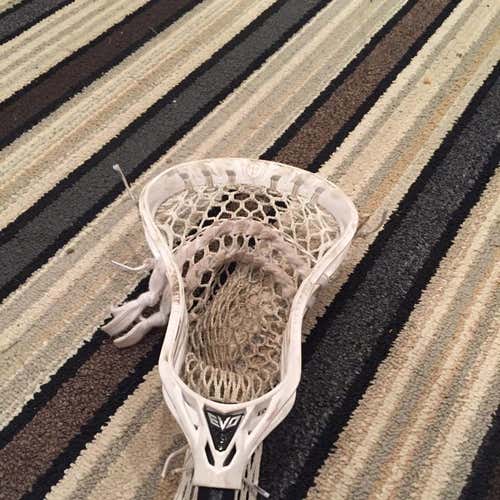 Warrior evo 5  WT