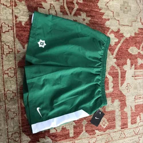 Medium Nike Dartmouth Skiing Training Shorts