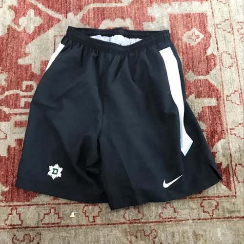 Small Dartmouth Skiing Running Shorts