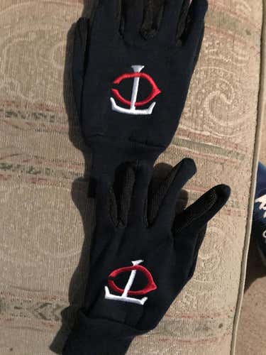 (Player worn) Minnesota Twins Gloves