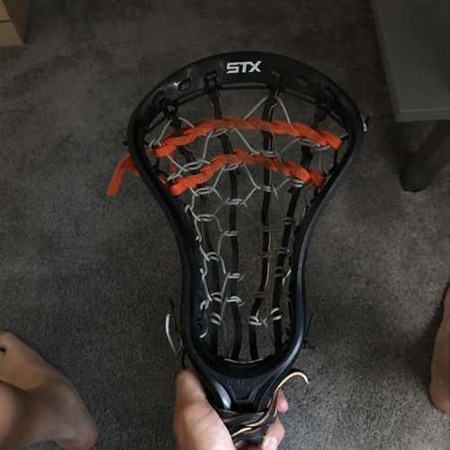 LN stallion U 500 with traditional