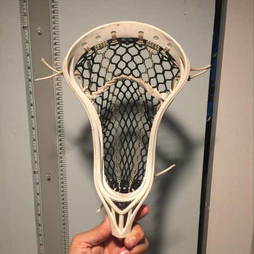 Warrior Rabil 2