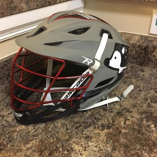 East Cobb Hedgehog Club Helmet