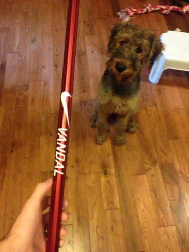 Brand new Nike Vandal shaft *with tags*