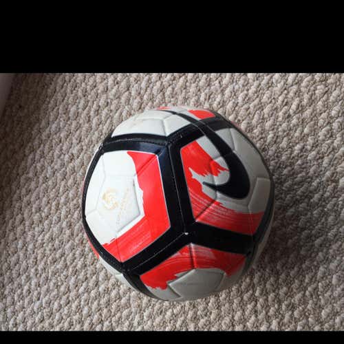 Nike Strike Ball
