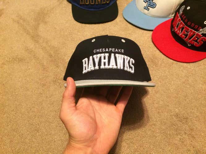 Bayhawks snapback