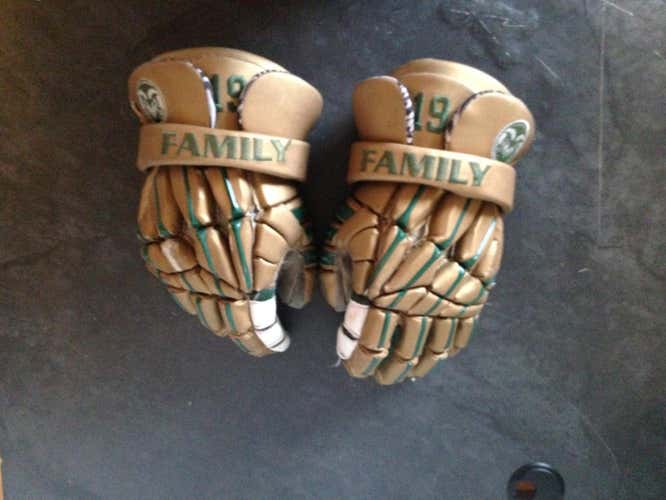 Custom CSU warrior regulator gloves