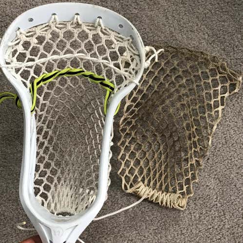 Tribe7 Sting7