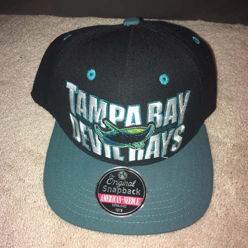 VINTAGE Tampa Bay Devil Rays Snapback