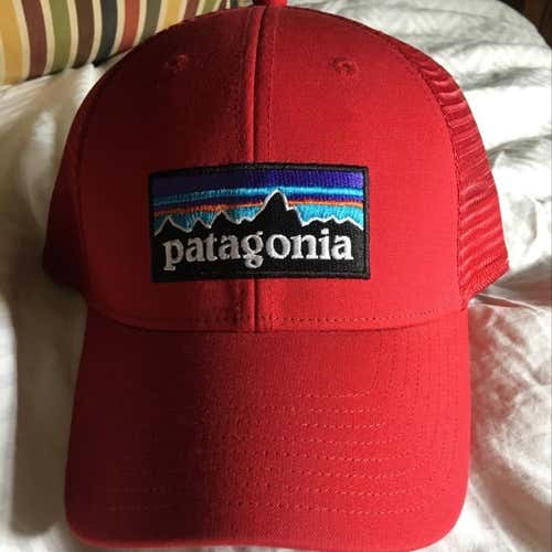 Patagonia Trucker Hat