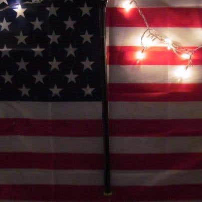 VGC Gen 5 c30 iq9 Dragonfly Shaft