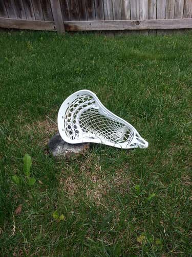 Blade OG Surgeon ACP Gait Torque