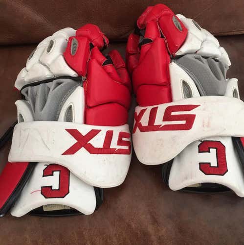 CORNELL GLOVES 2009 Season. Size 13" Condition Used Gait G22