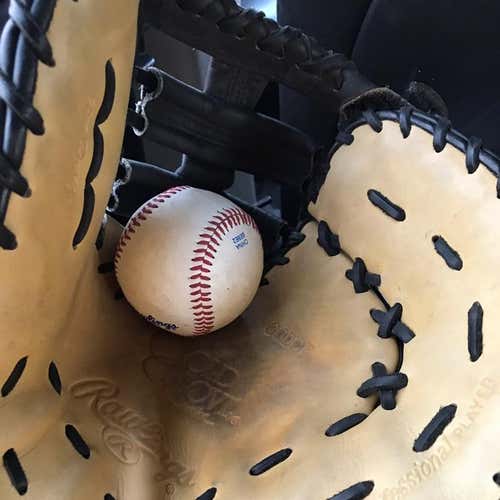 Rawlings Gold Glove With Gold Labels