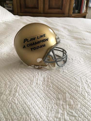 MINIATURE Notre Dame Helmet