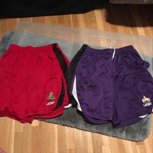 Cornell And Albany Shorts