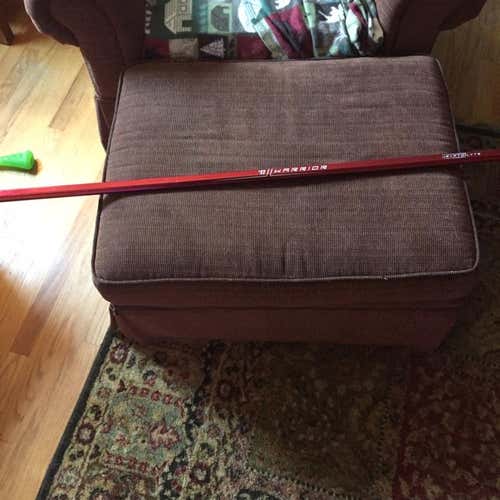 Warrior Kryptolyte D Pole