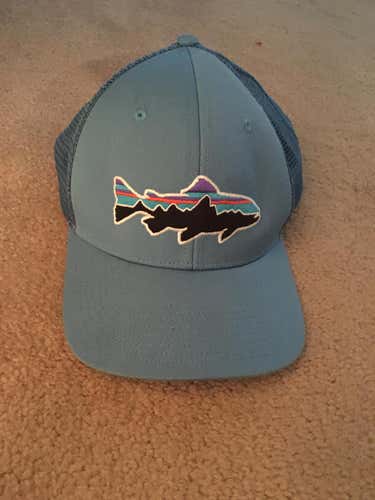 Patagonia Trucker Hat