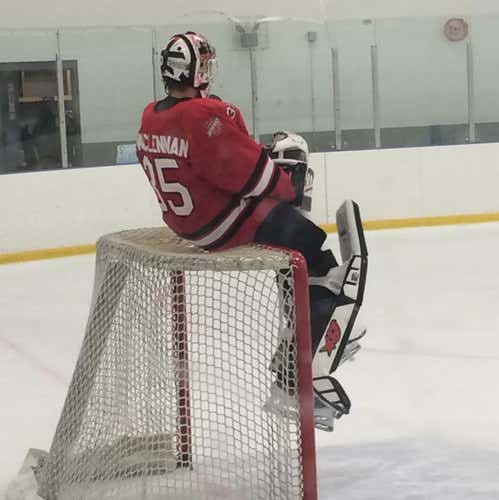 Bauer