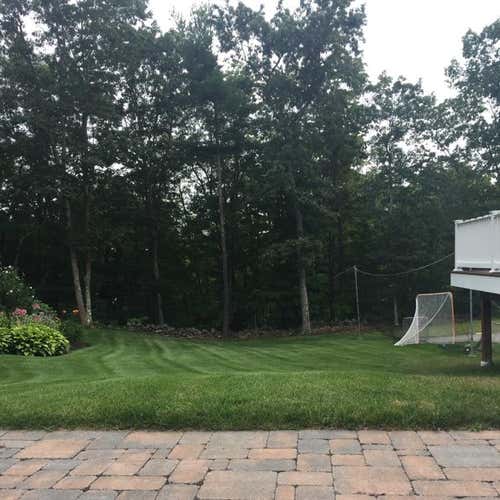 GRAY COMMAND AND ONE LOVE TRUE TEMPER FOR A TRADE