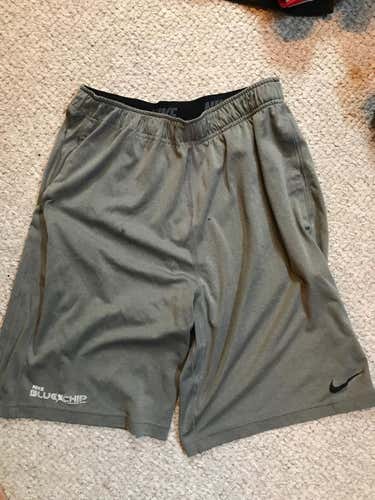 Jake Reed Nike Blue Chip Shorts