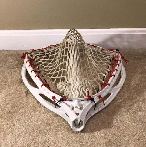 Warrior Nemesis 2