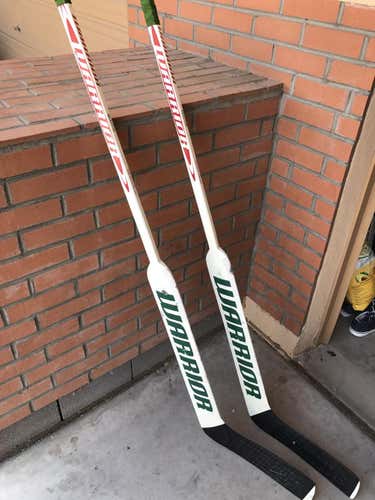 Niklas Backstrom pro stock sticks