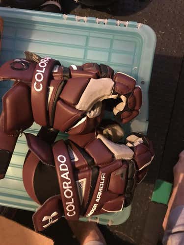 Game worn Colorado mammoth gloves
