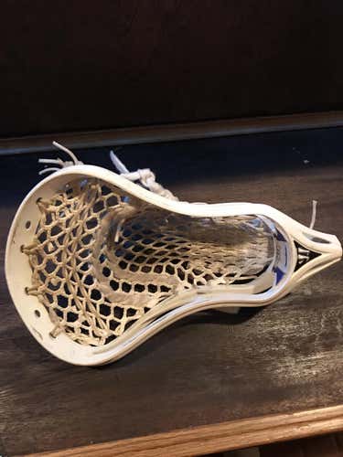 Warrior evolution 3x