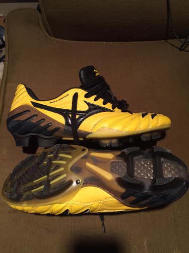 Mizuno Wave Ignitus
