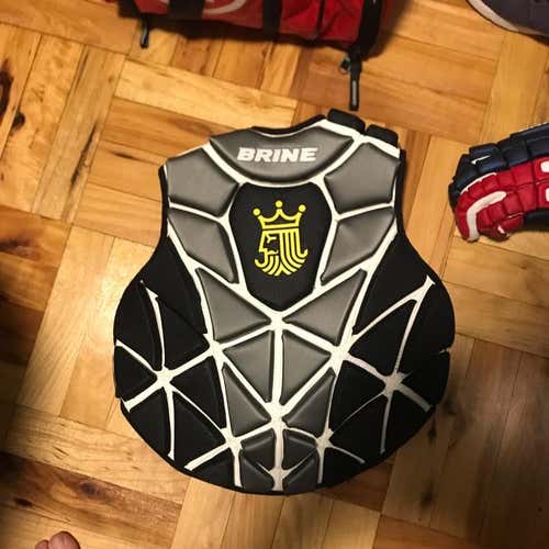 Bribe Eraser 2 Chest Protector