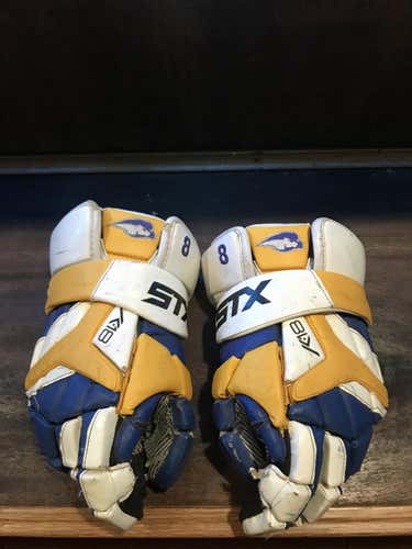 Hofstra gloves