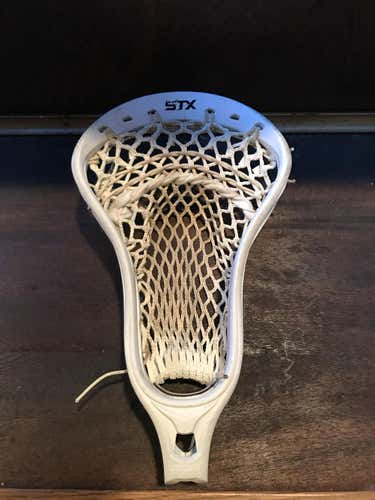 Stx stallion