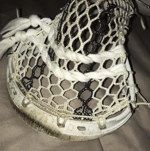 Stallion (HS) On A C12 Dirty