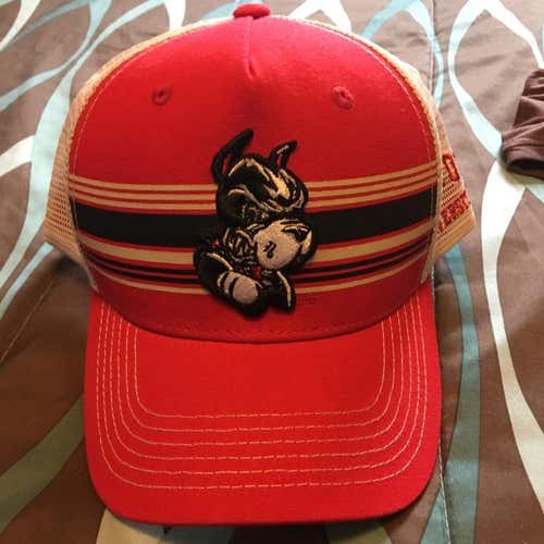 Boston University Terriers Hat