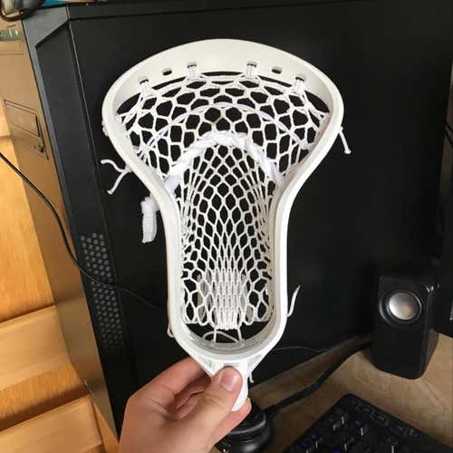 Brand New Epoch Sequel W/ Otter Mesh