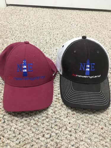 3d New England Hats