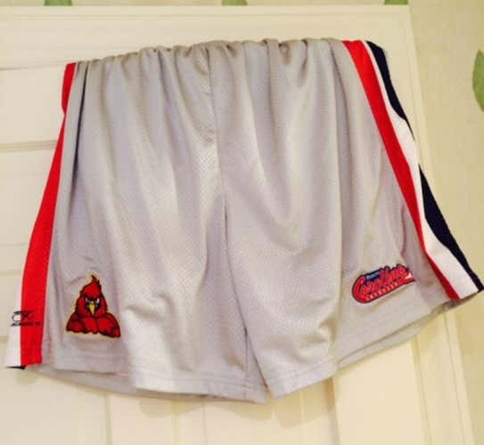 Team Carolina Game Shorts