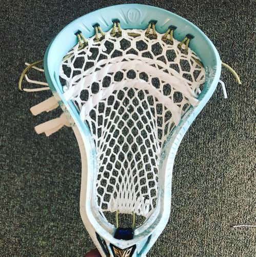 Warrior Evo 5X