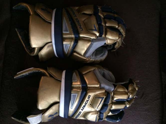 Notre Dame Game Used Gloves