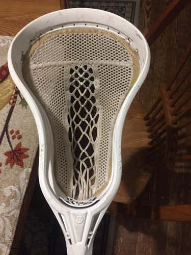 Warrior Evo Warp Next