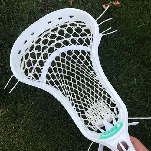 Wolf Rekon With Aura Mesh