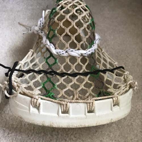 Warrior OG Scorpion