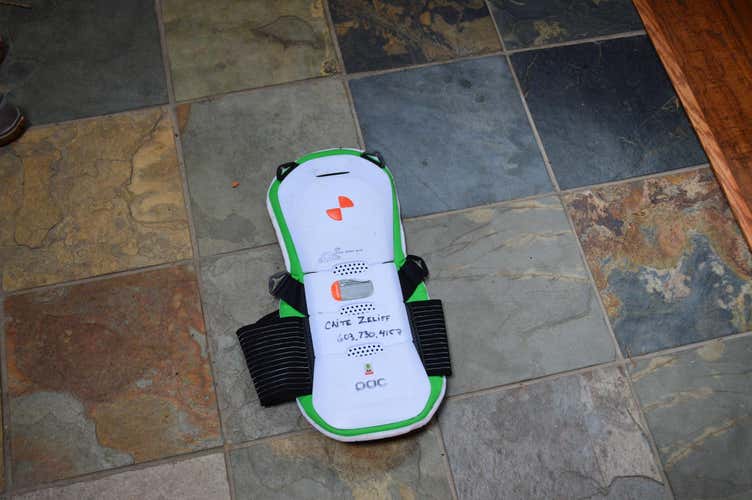 POC Spine Ergo Bug