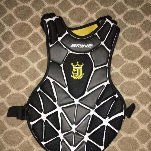 Brine Eraser 2 Goalie Christ Pad (Youth, Used)