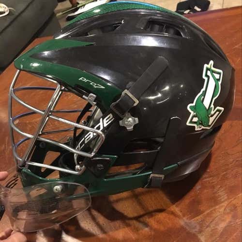 NY lizards Cascade Pro7 Helmet